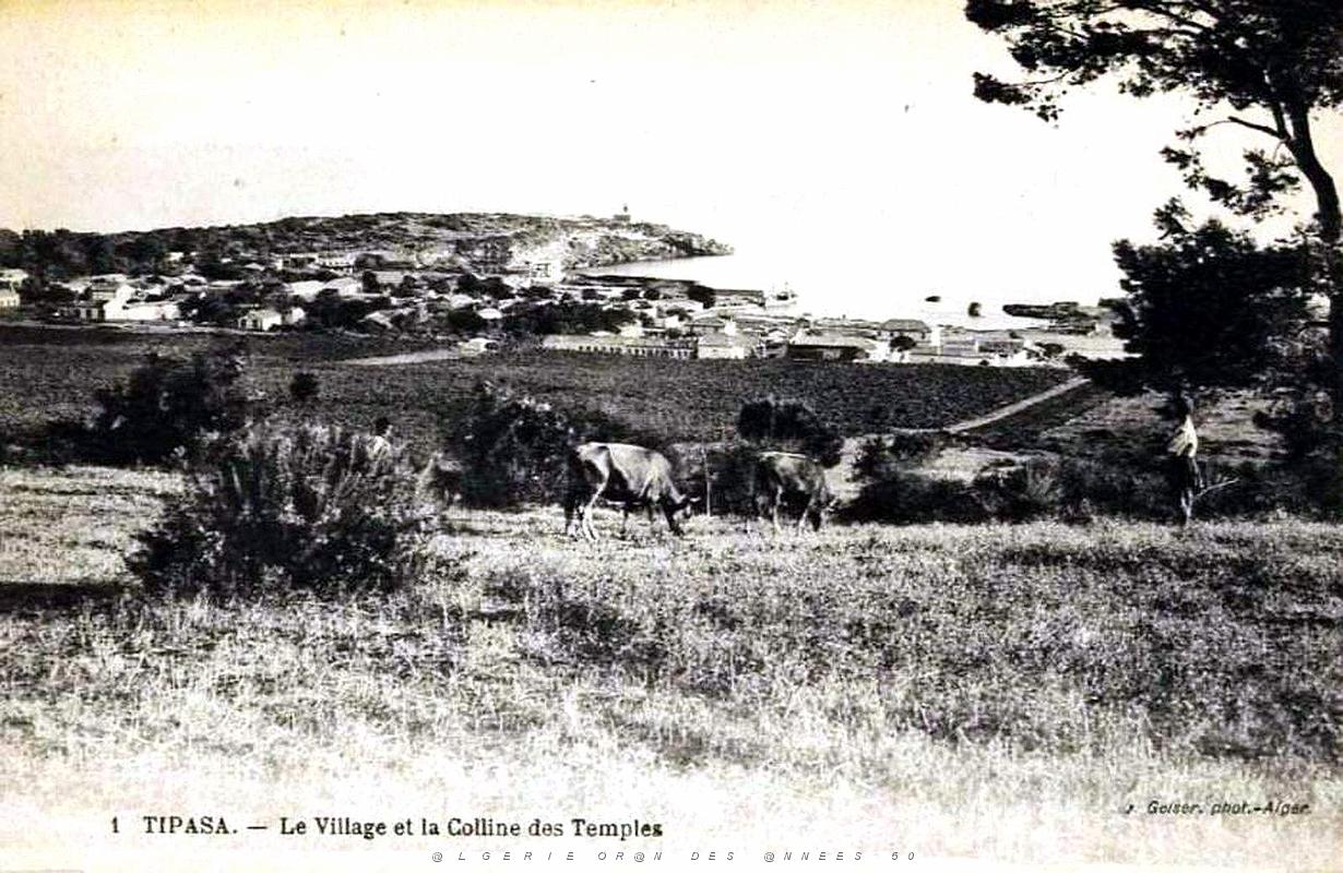 Tipasa - Ruines romaines 05.jpg